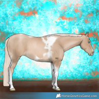 Horse Color:Chocolate Palomino Pearl Tobiano Frame  and Chocolate Palomino Pearl Splash Tobiano Frame 