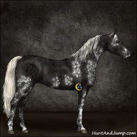 Horse Color:White Spotted Liver Chestnut Ice Mushroom 