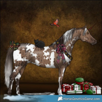 Horse Color:White Spotted Liver Red Dun Brindle 