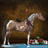 Horse Color:White Spotted Liver Red Dun Tobiano Brindle 