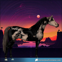 Horse Color:Void White Spotted Liver Red Dun Tobiano Brindle