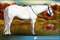 Horse Color:Liver Red Dun Sabino 