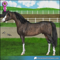 Horse Color:Brown Dun Brindle 