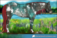 Horse Color:Painted Plaid  White Spotted Liver Red Dun Ice Rabicano 