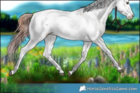 Horse Color:Plaid  White Spotted Liver Red Dun Ice Sabino Brindle 