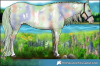 Horse Color:Nacre Watercolor White Spotted Chocolate Palomino Pearl Dun 