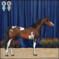 Horse Color:Brown Tobiano