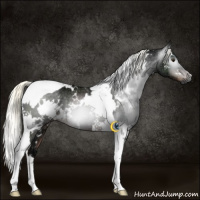 Horse Color:Gray White Spotted Liver Chestnut Ice Mushroom Tobiano 