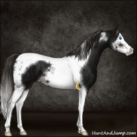 Horse Color:Liver Chestnut Ice Splash Tobiano 