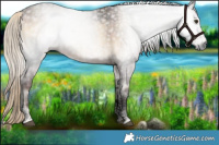Horse Color:Gray Void Plaid Liver Red Onyx Tobiano Rabicano