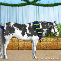 Horse Color:White Spotted Black Splash