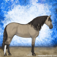 Horse Color:Smoky Grullo 