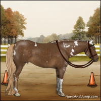 Horse Color:White Spotted Chocolate Palomino Tobiano 