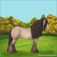 Horse Color:Amber Champagne Roan 