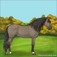 Horse Color:Smoky Grullo 