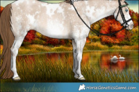Horse Color:White Spotted Liver Red Dun Pearl 