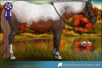 Horse Color:Liver Chestnut Tobiano 