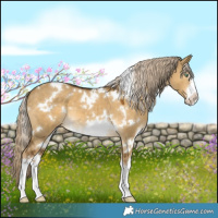 Horse Color:White Spotted Chocolate Palomino Dun Mushroom 