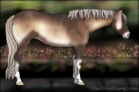 Horse Color:Silver Brown Onyx Rabicano 