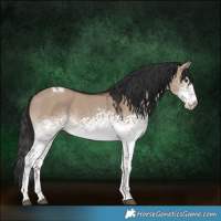 Horse Color:White Spotted Liver Red Dun Tobiano 