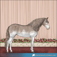 Horse Color:White Spotted Liver Red Dun Sabino Varnish Rabicano 