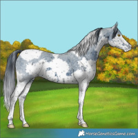 Horse Color:ERROR: UNKNOWN ANOMALY