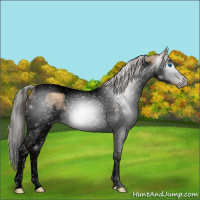 Horse Color:Gray Void Silver Classic Champagne Splash Tobiano 