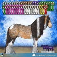 Horse Color:Buckskin Ice Tobiano Rabicano 