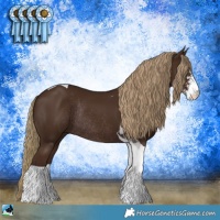 Horse Color:Liver Chestnut Sabino Tobiano Rabicano 