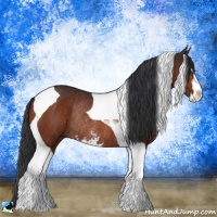 Horse Color:Brown Sabino Tobiano Rabicano 