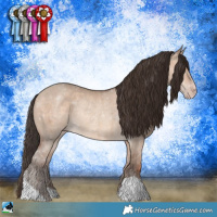 Horse Color:Sable Champagne Dun Rabicano 