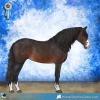 Horse Color:Brown Rabicano