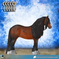 Horse Color:Brown Rabicano