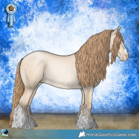 Horse Color:Smoky Grullo Pearl Mushroom Rabicano