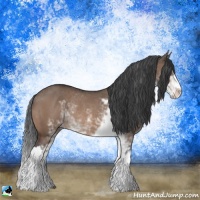 Horse Color:Brown Dun Mushroom Sabino Rabicano