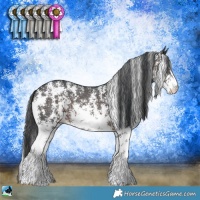 Horse Color:Brown Mushroom Sabino Rabicano