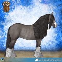 Horse Color:Smoky Grullo Mushroom Rabicano 