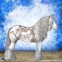 Horse Color:Liver Red Dun Mushroom Sabino Splash Rabicano 