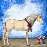 Horse Color:Palomino Roan Appaloosa 