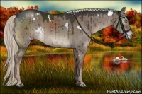 Horse Color:White Spotted Liver Red Dun Mushroom Brindle 