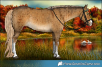 Horse Color:White Spotted Chocolate Palomino Dun Rabicano Brindle 