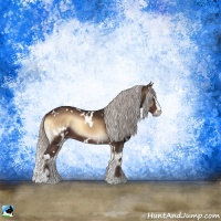 Horse Color:White Spotted Silver Brown Onyx Sabino 