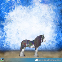 Horse Color:Nacre Black Sabino Rabicano 