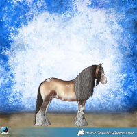 Horse Color:White Spotted Liver Red Onyx Sabino 