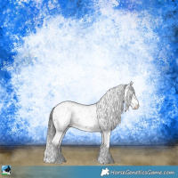 Horse Color:Brown Ice Sabino Rabicano 