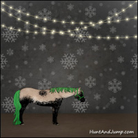 Horse Color:Void Painted White Spotted Liver Red Dun Rabicano 