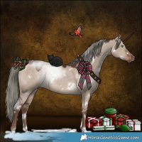 Horse Color:White Spotted Liver Red Dun Mushroom 