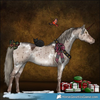 Horse Color:White Spotted Liver Red Dun Ice Mushroom Brindle 