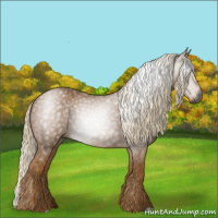 Horse Color:Gray Palomino 