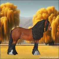 Horse Color:Bay Sabino Rabicano  and Bay Sabino Rabicano 